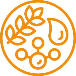 Circular nutrition icon showing grains, seeds, and nutrients representing plant based nourishment